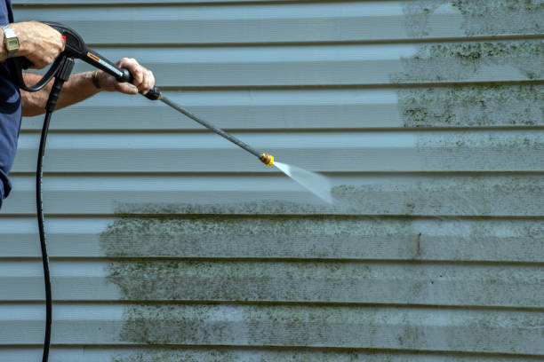 Best Sidewalk and Walkway Cleaning  in Fruitland Park, FL
